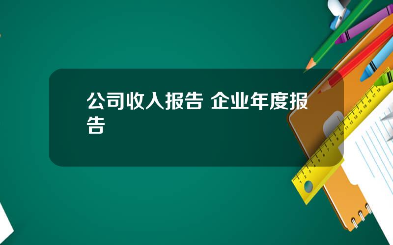 公司收入报告 企业年度报告